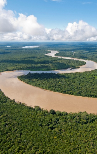 Amazon Rainforest