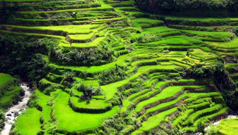 Banaue Rice Terraces