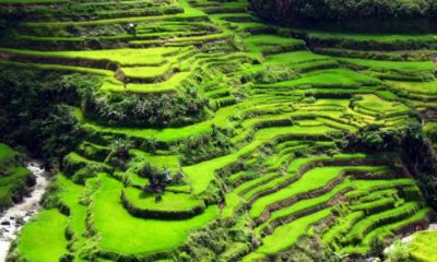 banaue rice terraces