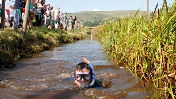 Bogsnorkelling