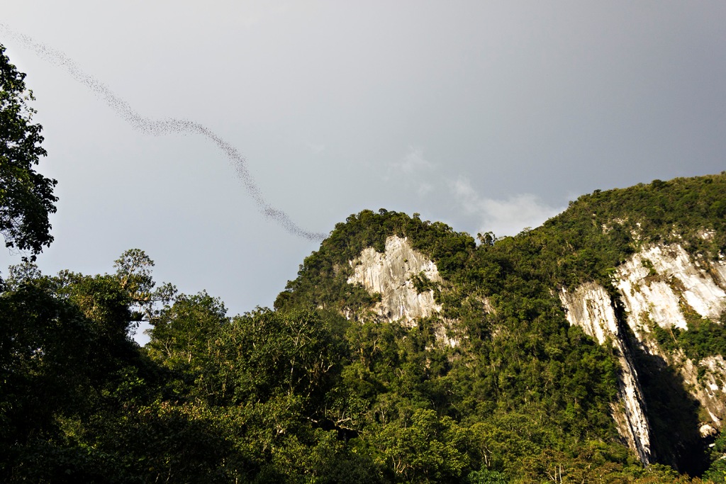 Gunung Mulu National Park