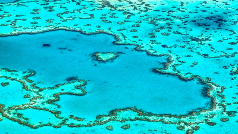 Hardy Reef, Great Barrier Reef