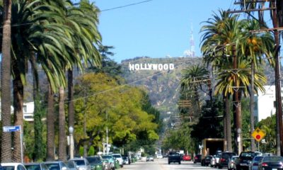 Hollywood Sign from road