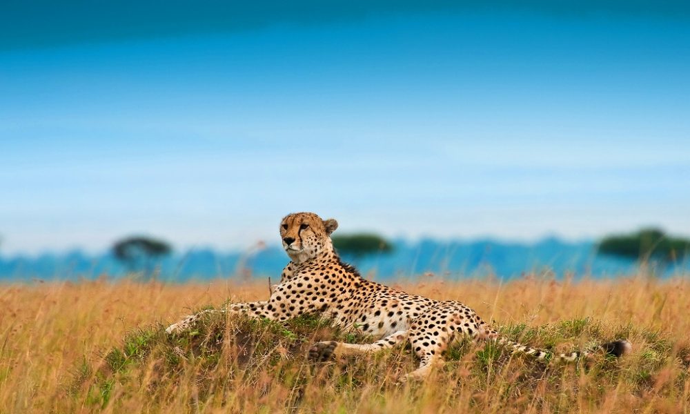 Krugur National Park