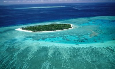 lady-musgrave-island