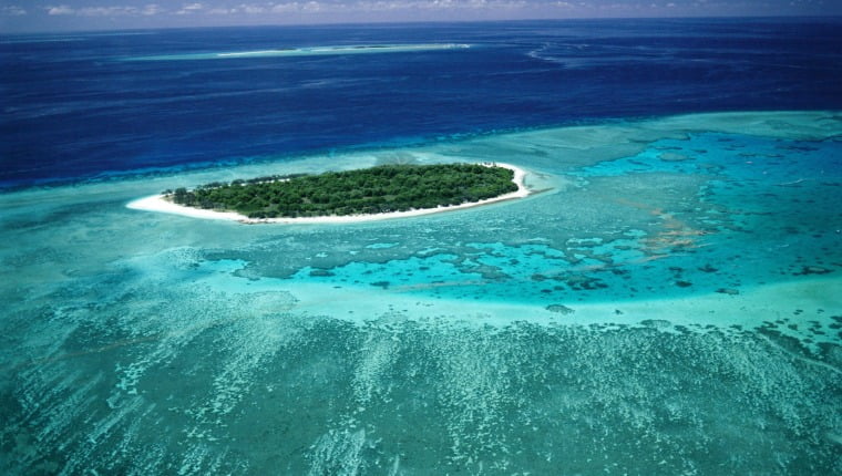 Lady Musgrave Island