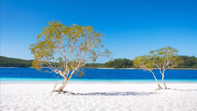 Lake MacKenzie Fraser Island