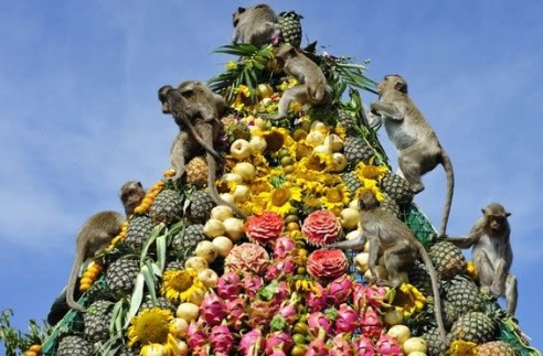 Monkey_Buffet_Festival