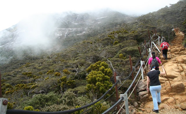 Trekking up Mt Kinabalu