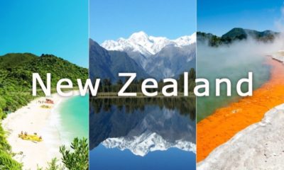 New Zealand Travel Guide