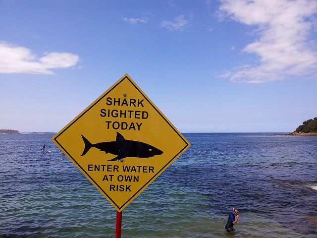 Shark Warning Sign