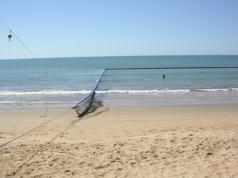 Stinger Jellyfish Net