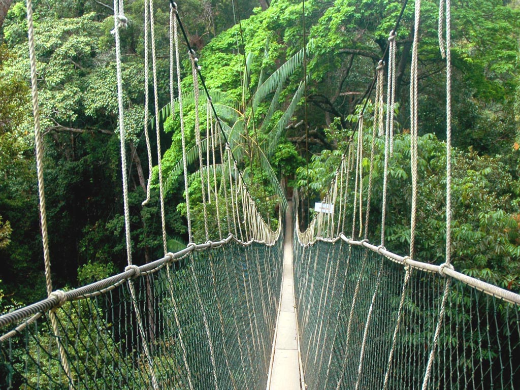 Taman-Negara