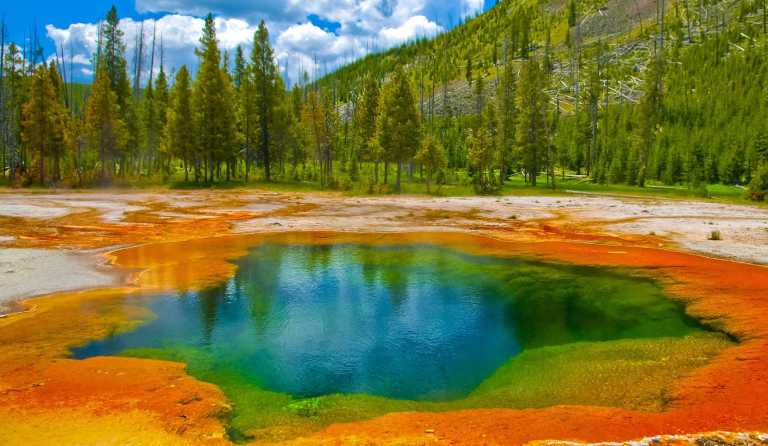 Morning Glory Pool, Yellowstone National Park.