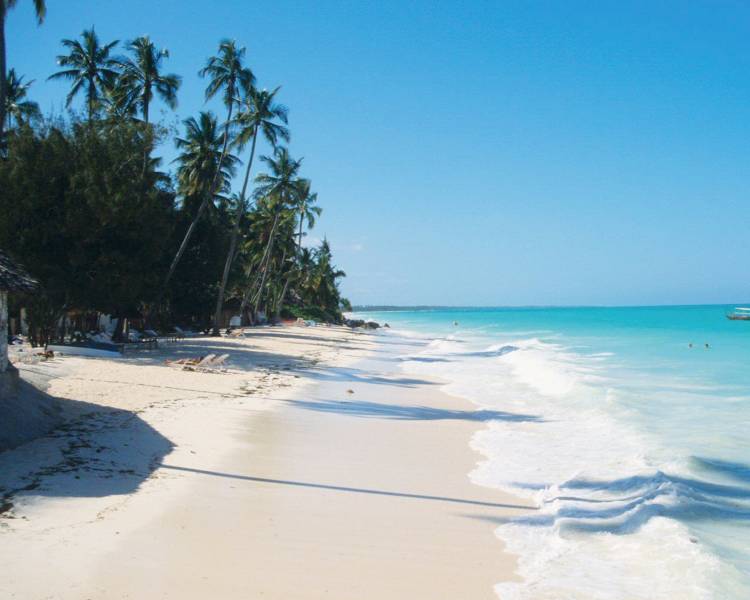 Beach, Zanzibar